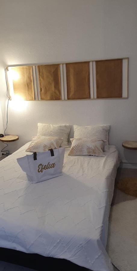 Maison Cosy Paris Orly Jardin Privee فيتري سور سين المظهر الخارجي الصورة